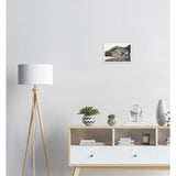 Positano Beach New Collection Archival Matte Paper Poster - AMALFITANA STORE