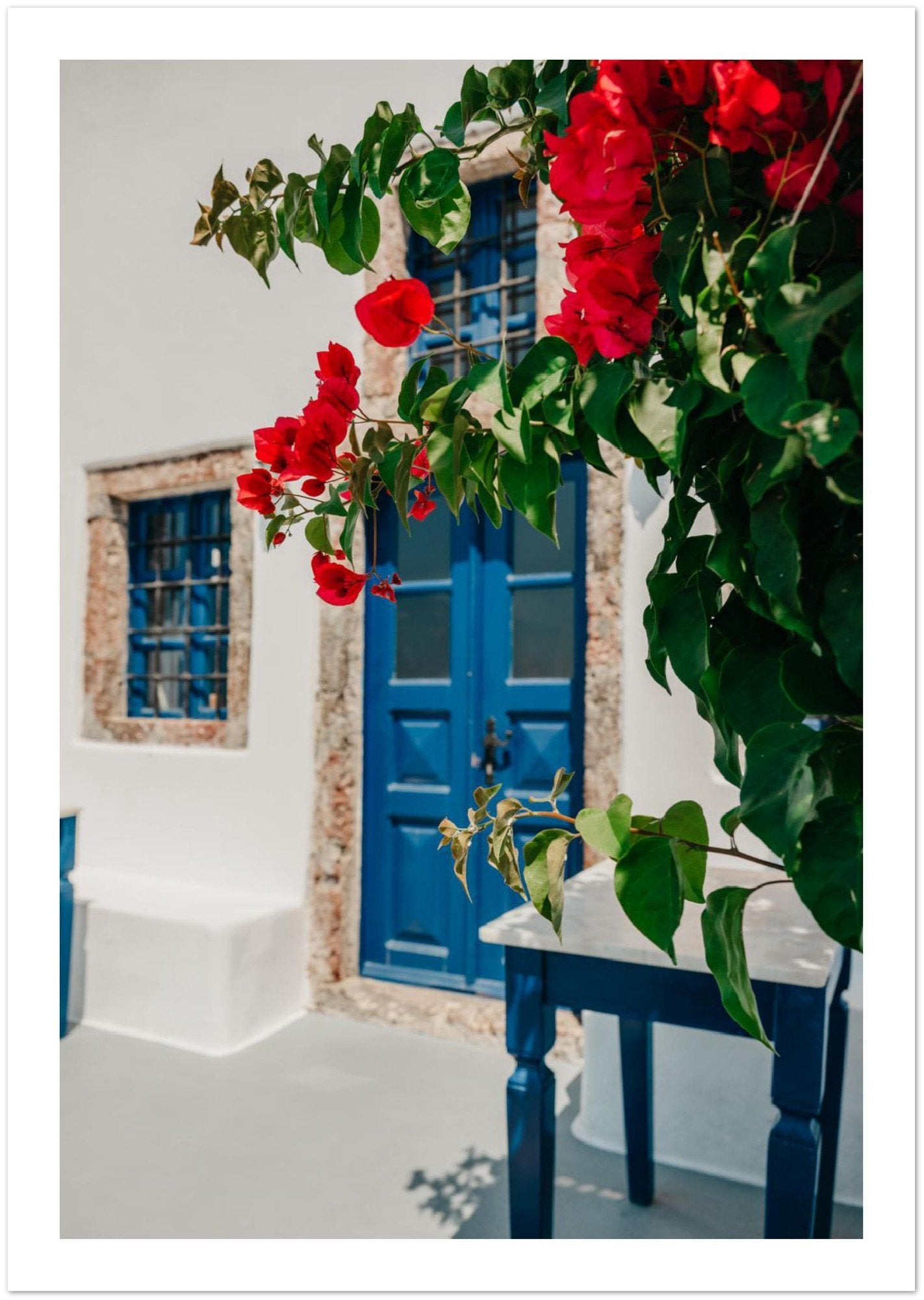 Santorini Flower Premium Matte Paper Poster